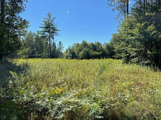76 Acres of Land for Sale in Dolgeville, New York