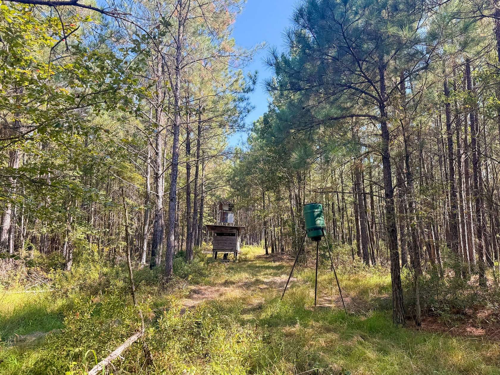 45.4 Acres of Recreational Land for Sale in Hampton, Arkansas