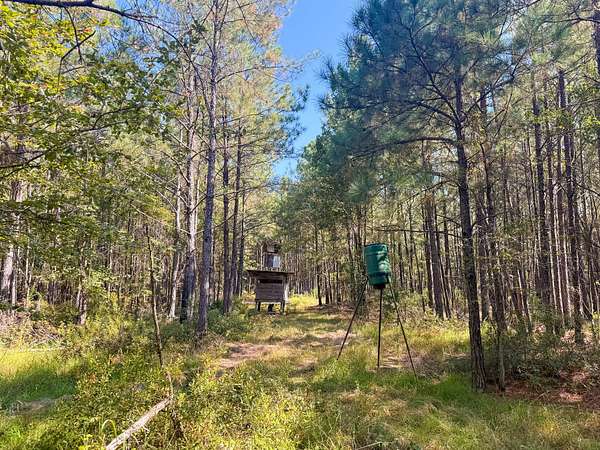 45.4 Acres of Recreational Land for Sale in Hampton, Arkansas