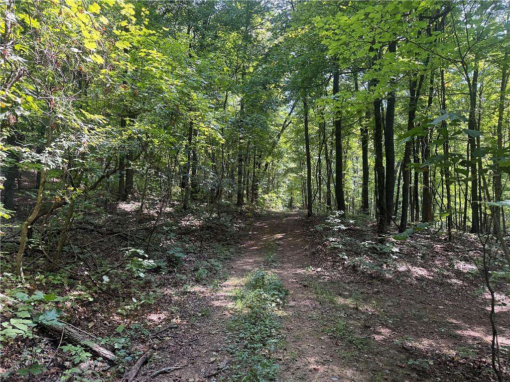 40 Acres of Recreational Land & Farm for Sale in Crosses, Arkansas