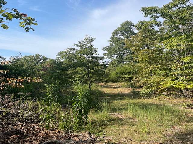 55 Acres of Recreational Land & Farm for Sale in Yellville, Arkansas
