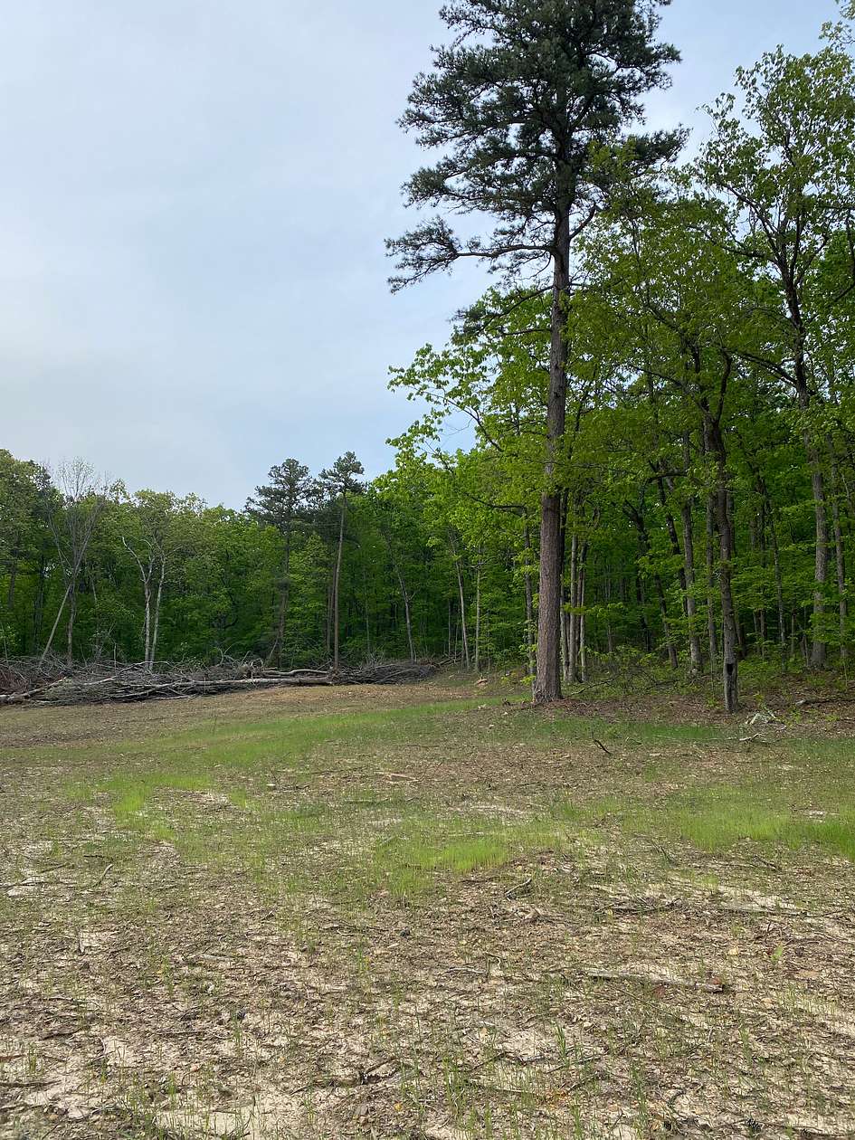 12.5 Acres of Land for Sale in Marshall, Arkansas