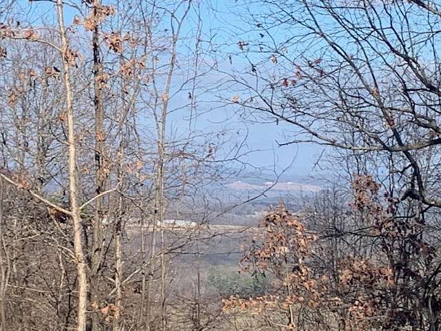 18 Acres of Recreational Land & Farm for Sale in Yellville, Arkansas