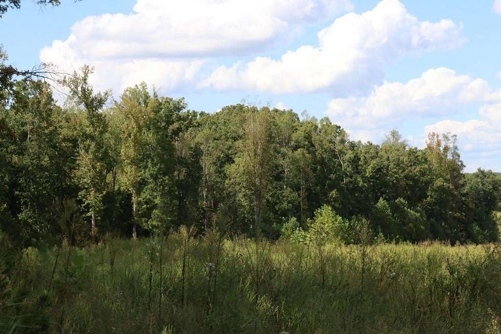 76.2 Acres of Recreational Land for Sale in Keysville, Virginia