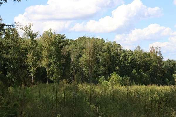 76.2 Acres of Recreational Land for Sale in Keysville, Virginia