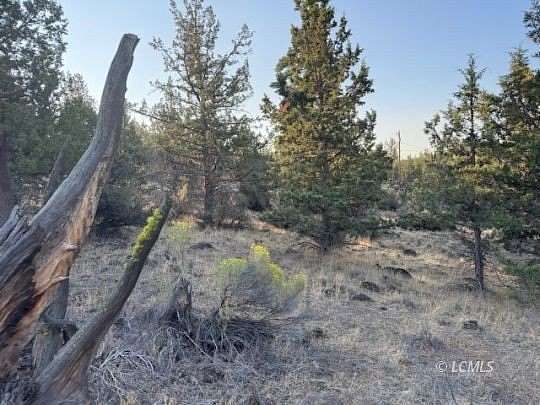 2.25 Acres of Residential Land for Sale in Bonanza, Oregon