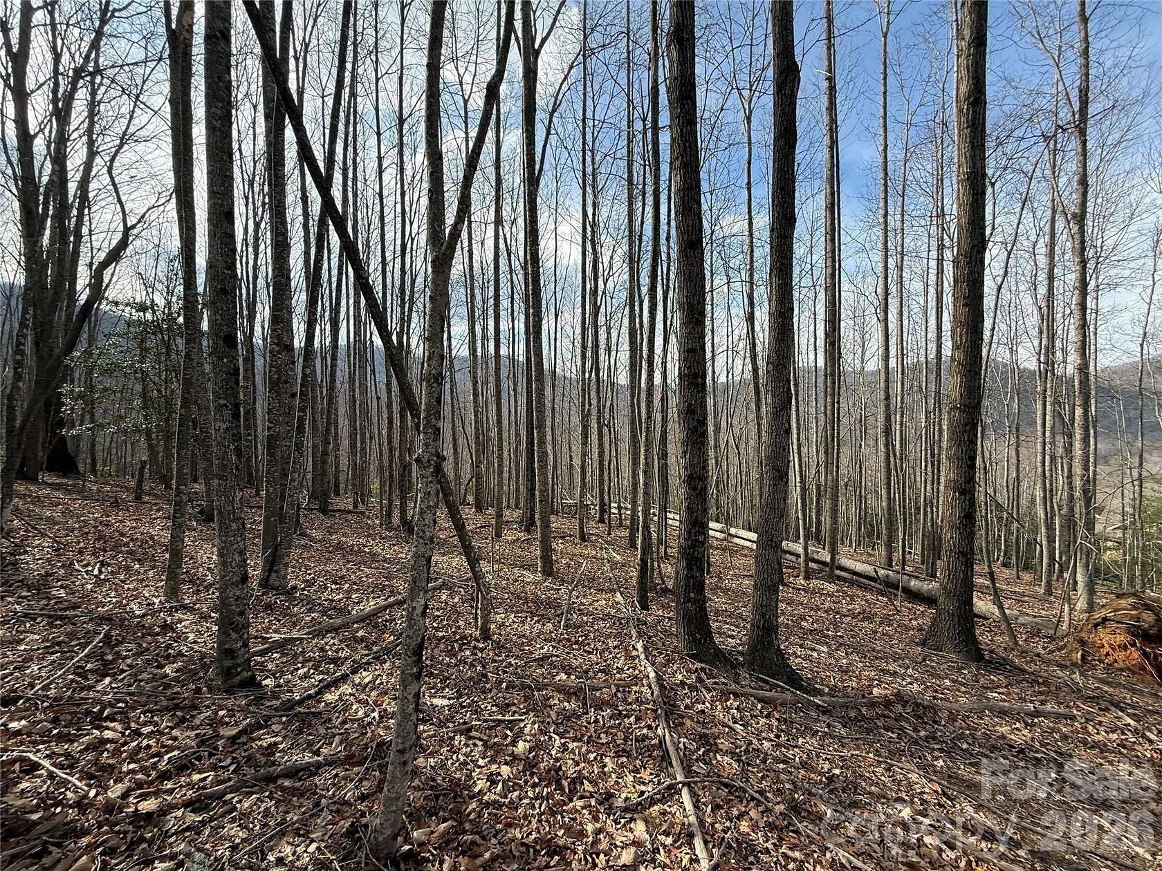 1.14 Acres of Residential Land for Sale in Arden, North Carolina