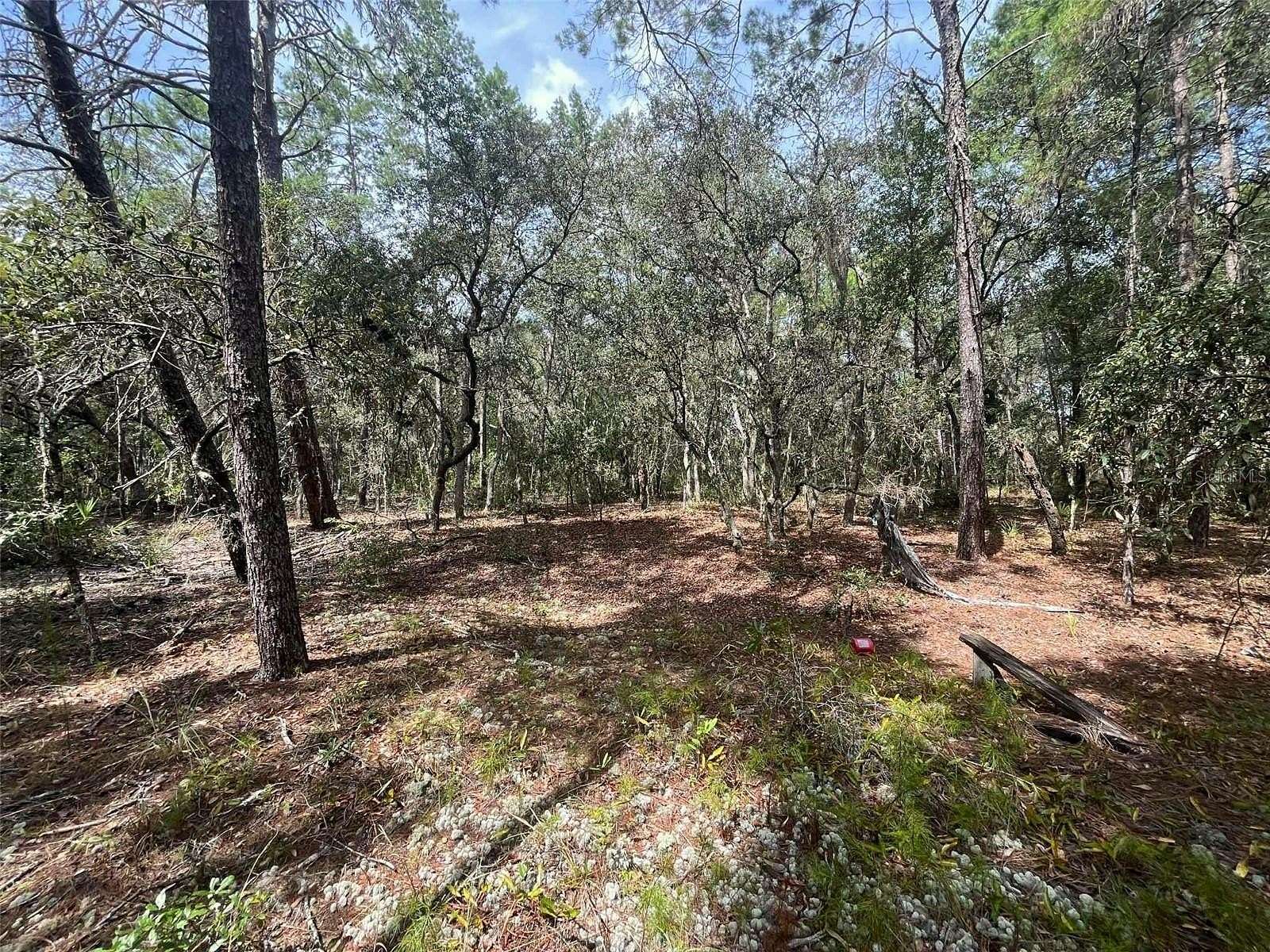 0.46 Acres of Residential Land for Sale in Satsuma, Florida