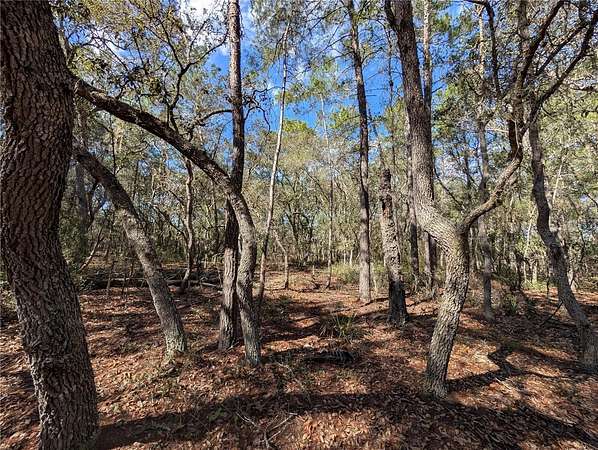 0.46 Acres of Residential Land for Sale in Satsuma, Florida