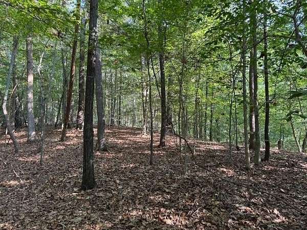 4.5 Acres of Land for Sale in Canton, Georgia