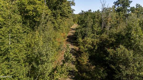 83.5 Acres of Recreational Land for Sale in Averill Park, New York