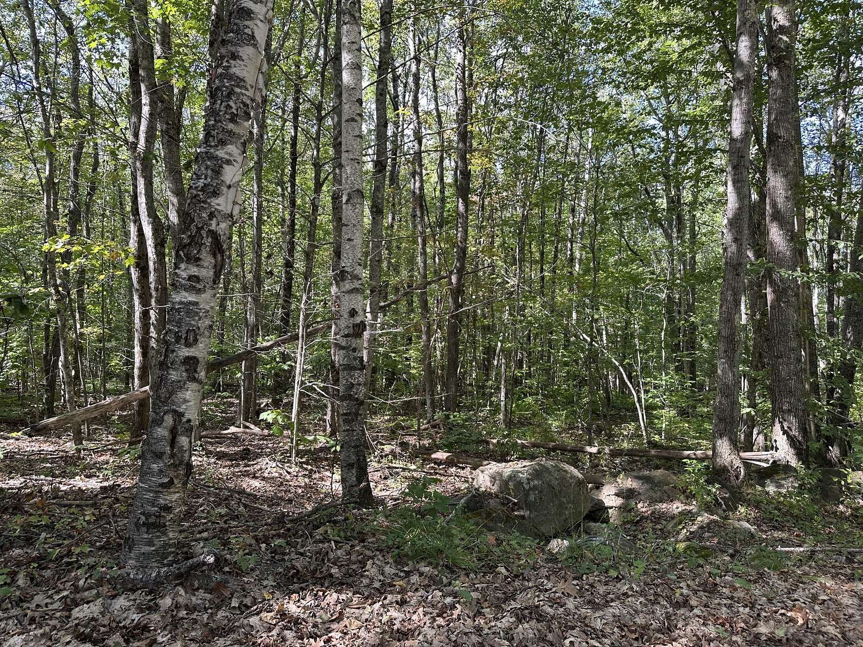 10 Acres of Residential Land for Sale in Appleton, Maine