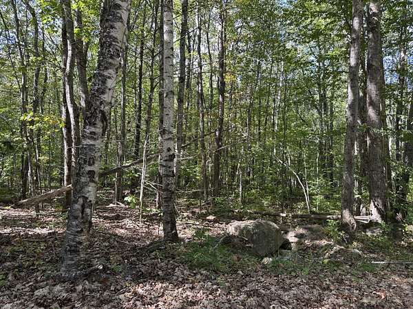 10 Acres of Residential Land for Sale in Appleton, Maine