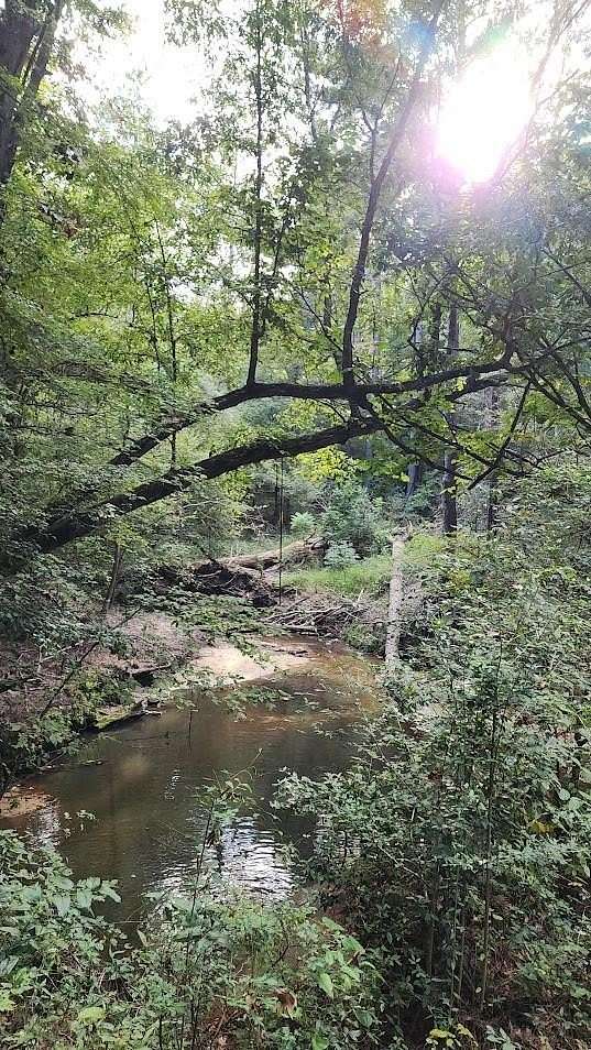90.6 Acres of Recreational & Residential Land for Sale in Nacogdoches, Texas
