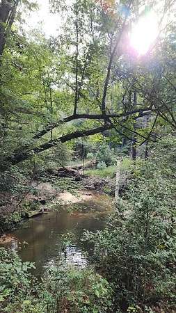 90.6 Acres of Recreational & Residential Land for Sale in Nacogdoches, Texas