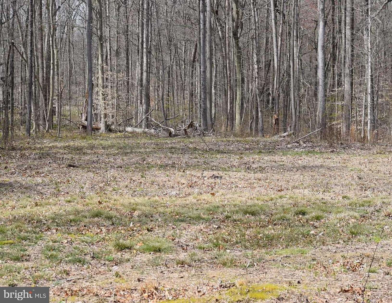 11.2 Acres of Recreational & Residential Land for Sale in Smyrna, Delaware