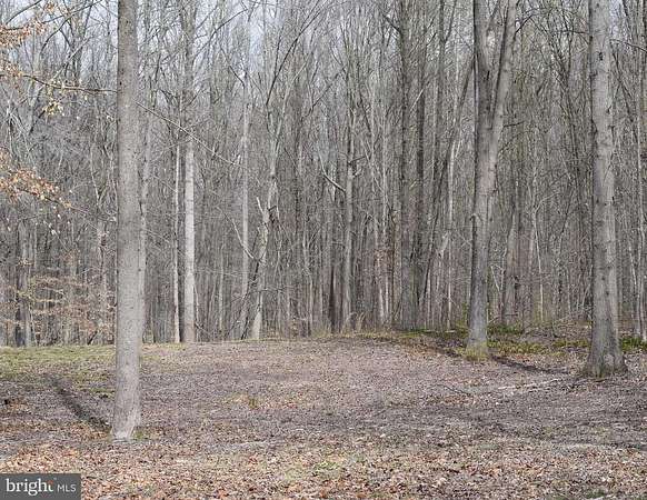 11.2 Acres of Recreational Land for Sale in Smyrna, Delaware