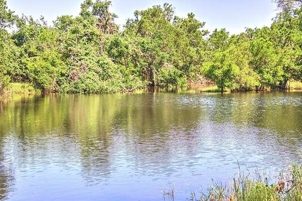 49.6 Acres of Land for Sale in Willow City, Texas