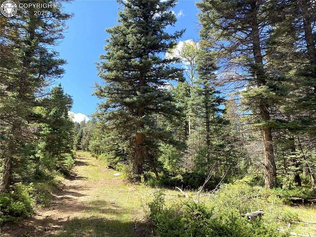 35.2 Acres of Recreational & Residential Land for Sale in Cotopaxi, Colorado