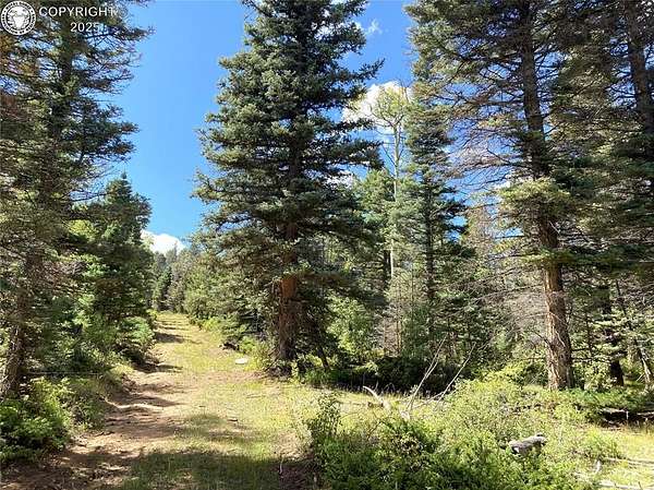 35.2 Acres of Recreational Land for Sale in Cotopaxi, Colorado