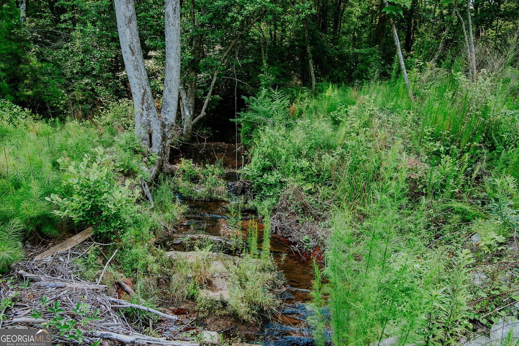 20.1 Acres of Land for Sale in Franklin, Georgia