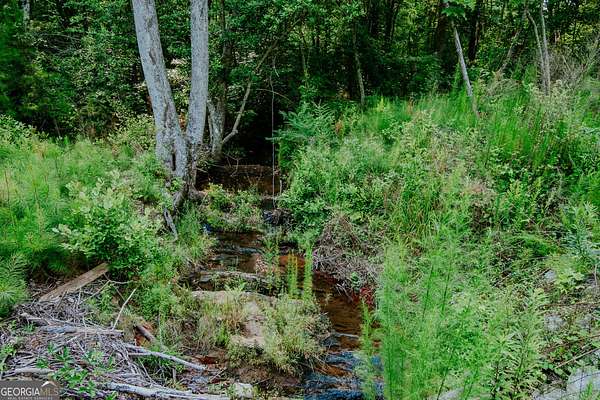 20.1 Acres of Land for Sale in Franklin, Georgia