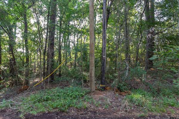 0.79 Acres of Residential Land for Sale in Tyler, Texas