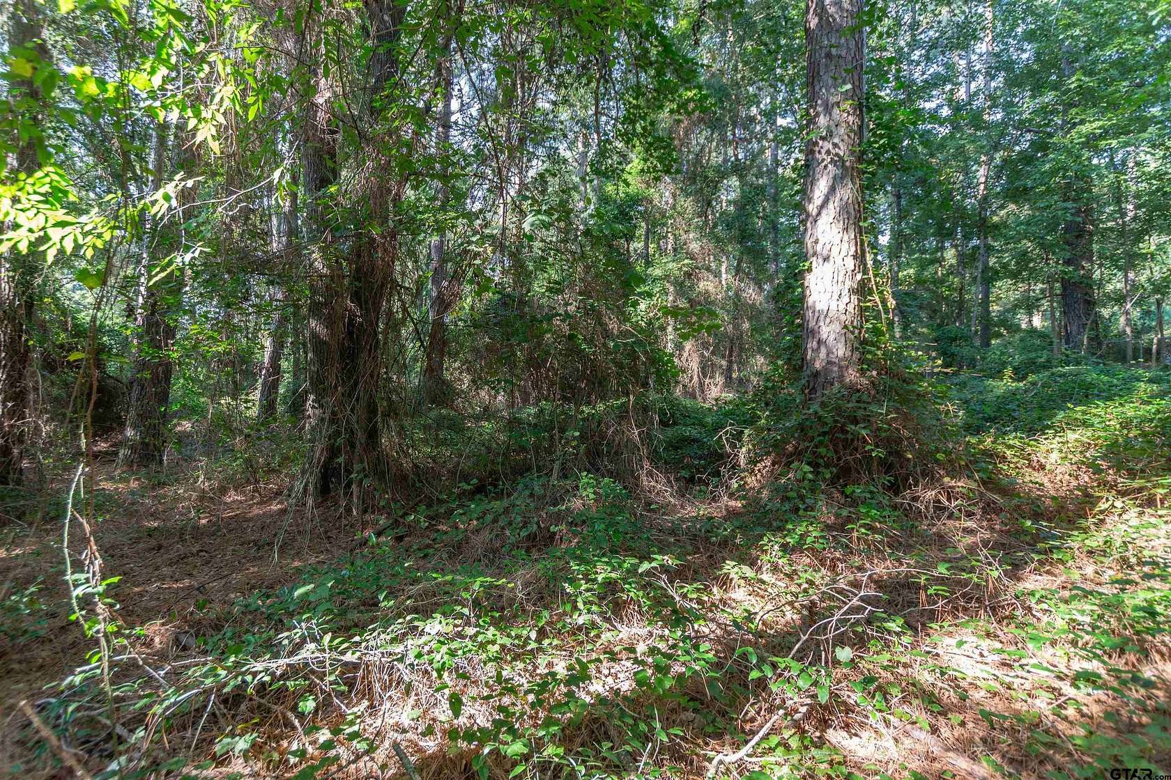 0.72 Acres of Residential Land for Sale in Tyler, Texas