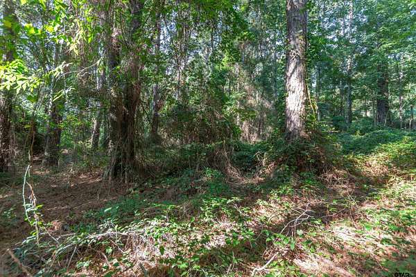 0.72 Acres of Residential Land for Sale in Tyler, Texas