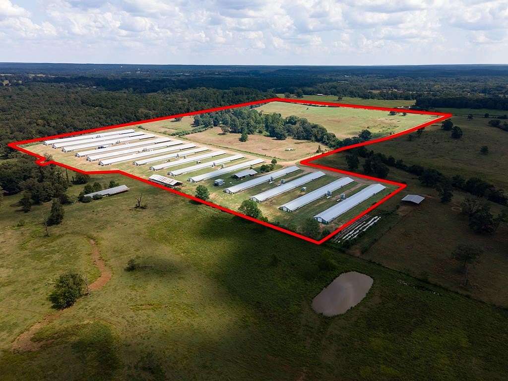 85 Acres of Agricultural Land for Sale in San Augustine, Texas