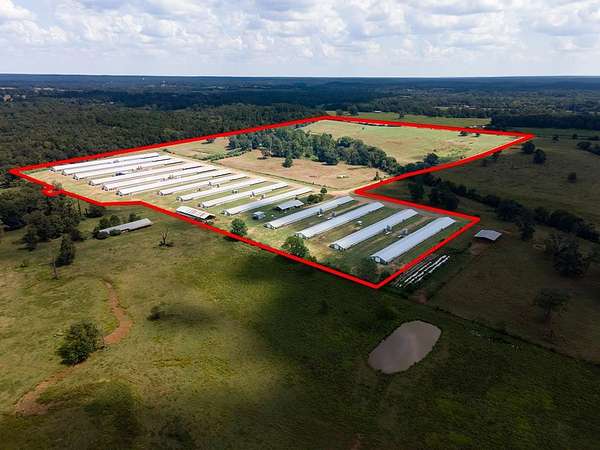 85 Acres of Agricultural Land for Sale in San Augustine, Texas