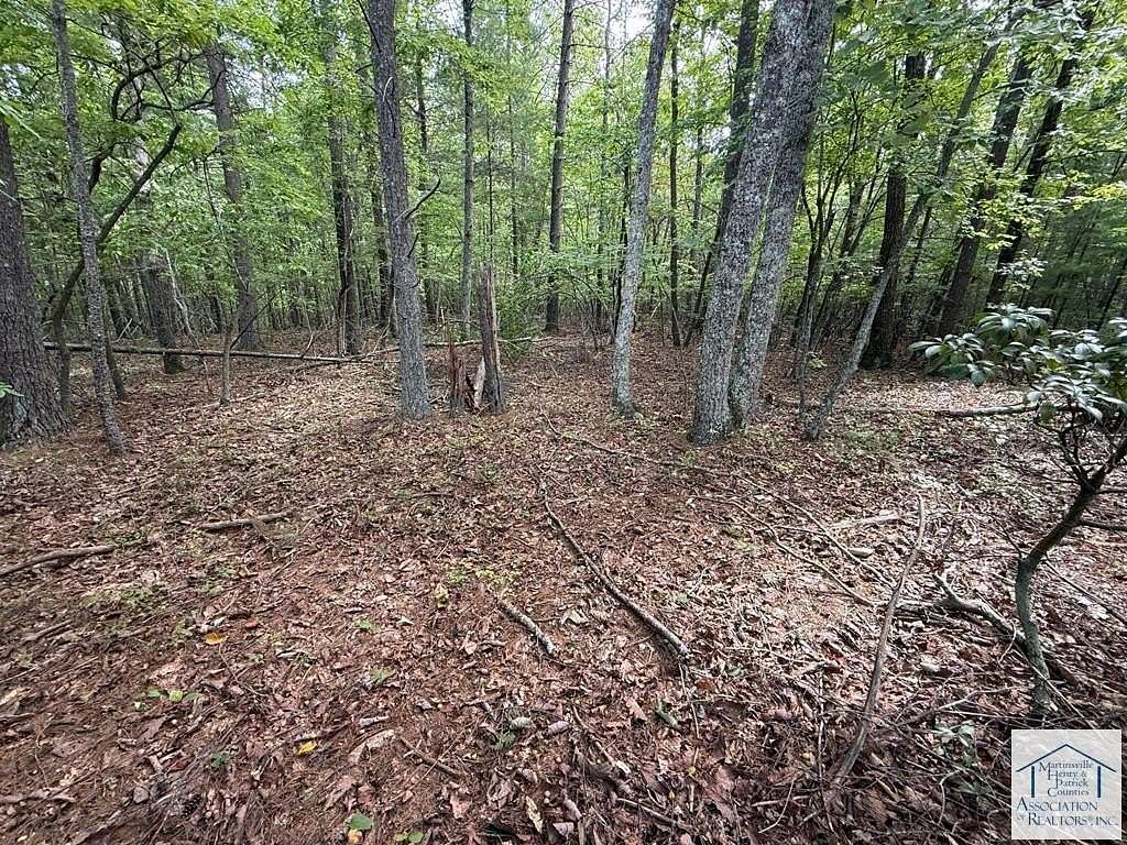 17.5 Acres of Recreational Land for Sale in Henry, Virginia