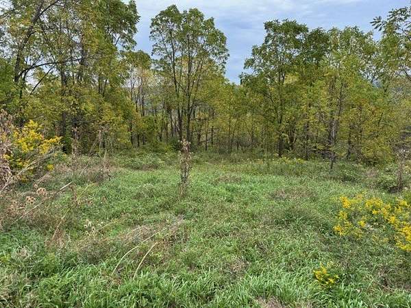5.25 Acres of Residential Land for Sale in Montour Falls, New York