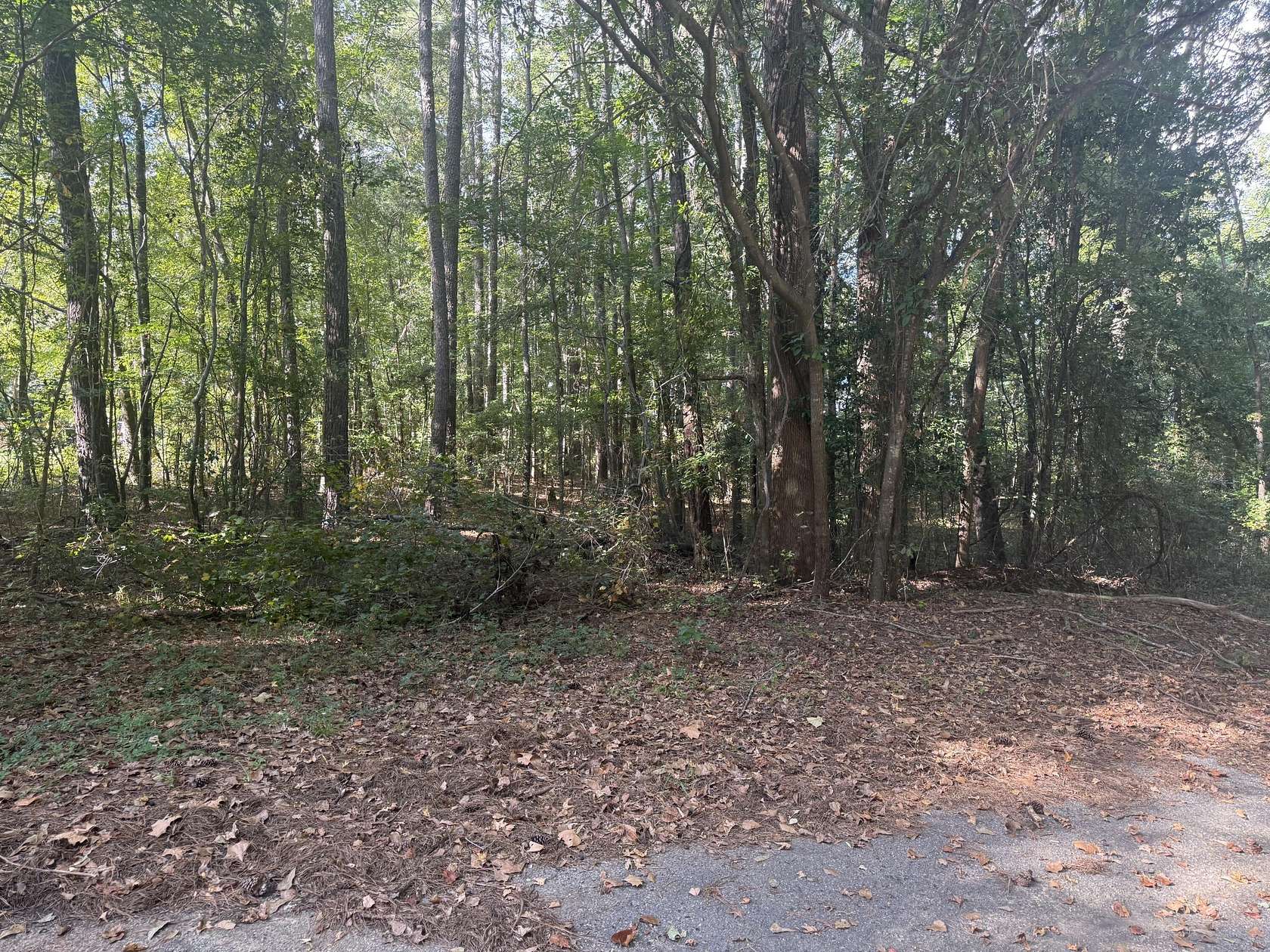2.36 Acres of Residential Land for Sale in Rembert, South Carolina