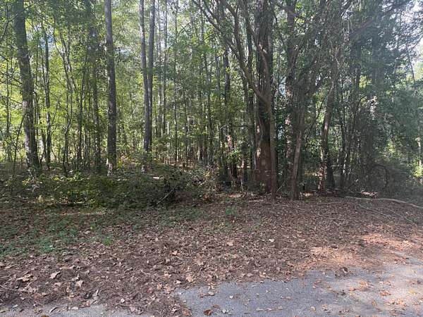 2.36 Acres of Residential Land for Sale in Rembert, South Carolina