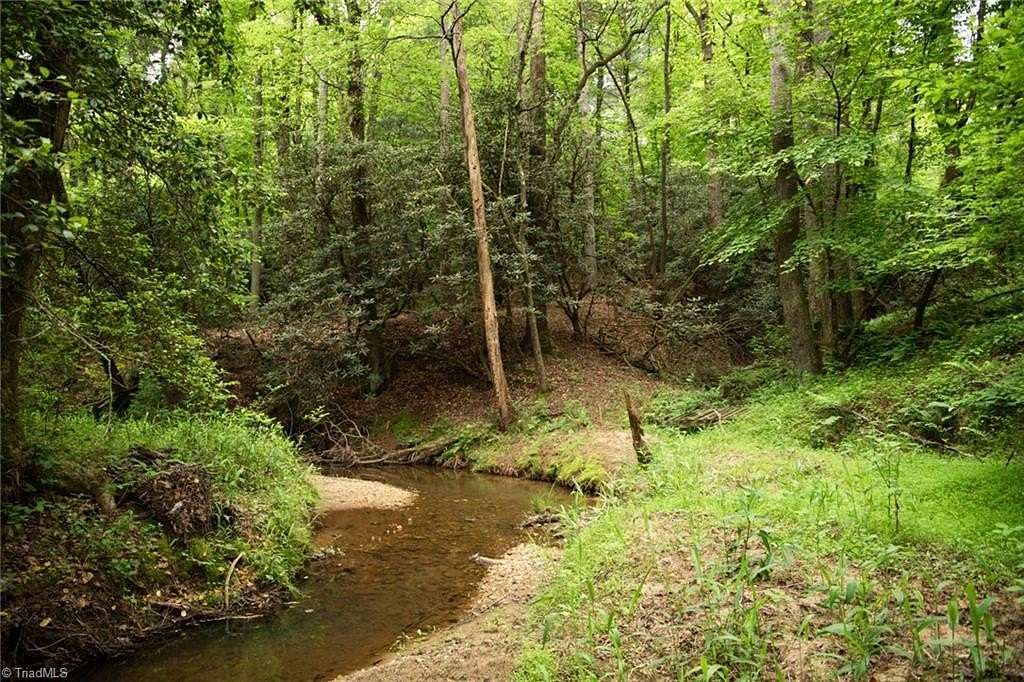 11.5 Acres of Recreational Land for Sale in Thurmond, North Carolina