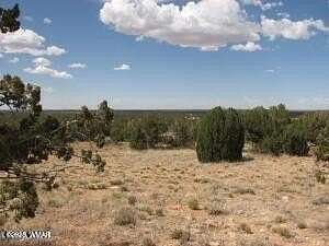 40 Acres of Recreational Land for Sale in Heber, Arizona