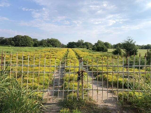 50 Acres of Land for Sale in Coleman, Oklahoma