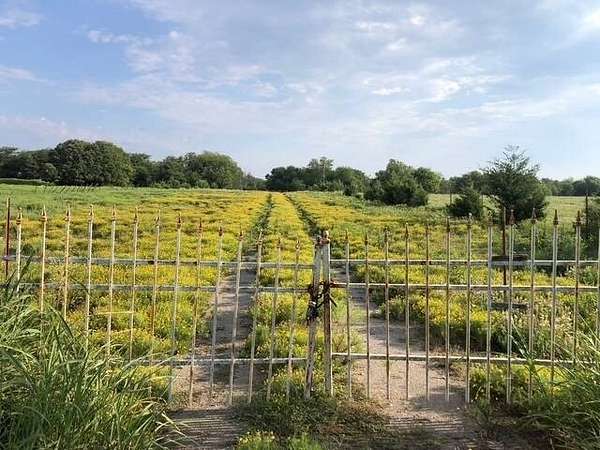 50 Acres of Land for Sale in Coleman, Oklahoma
