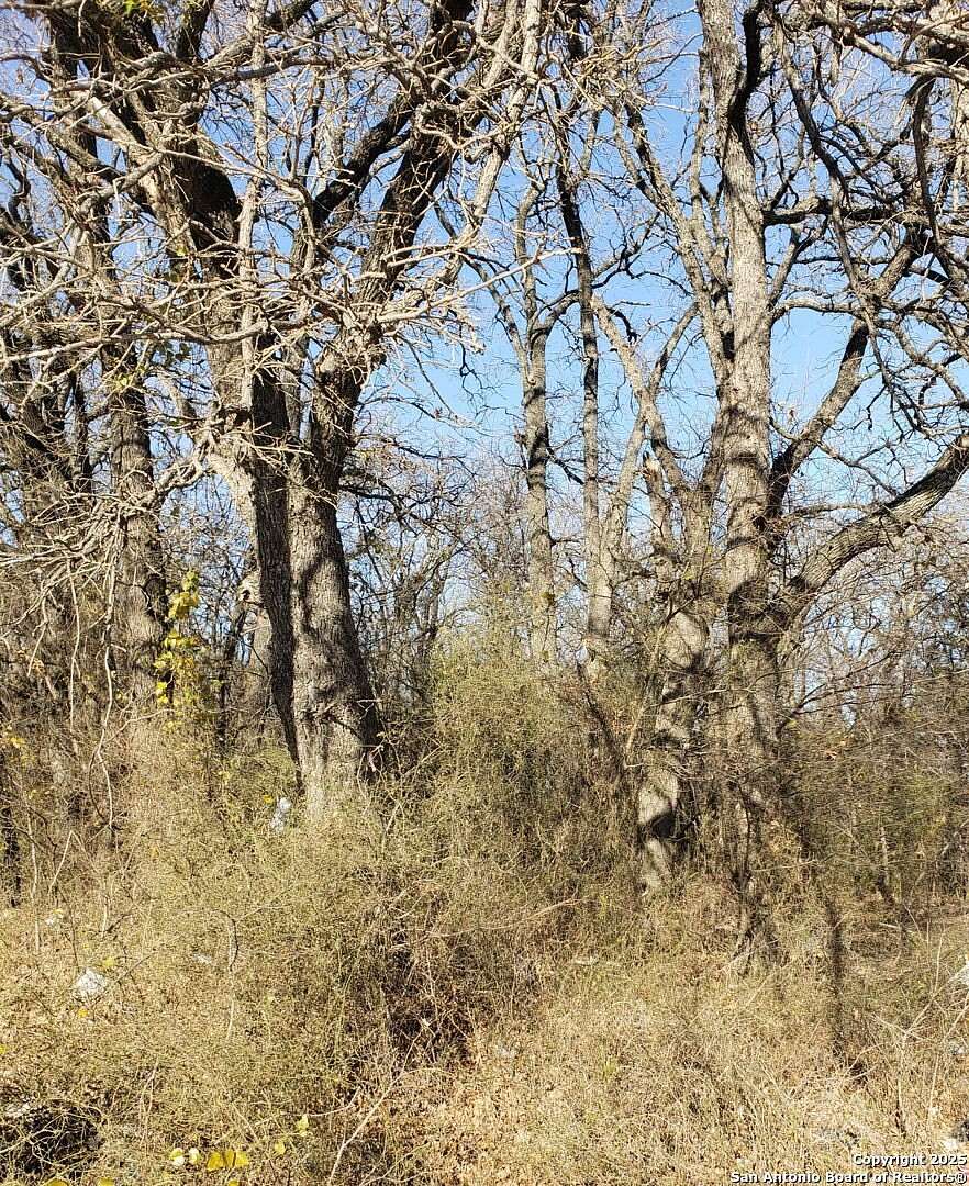 0.29 Acres of Land for Sale in Balch Springs, Texas