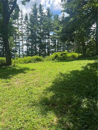 77 Acres of Recreational Land for Sale in Newland, North Carolina