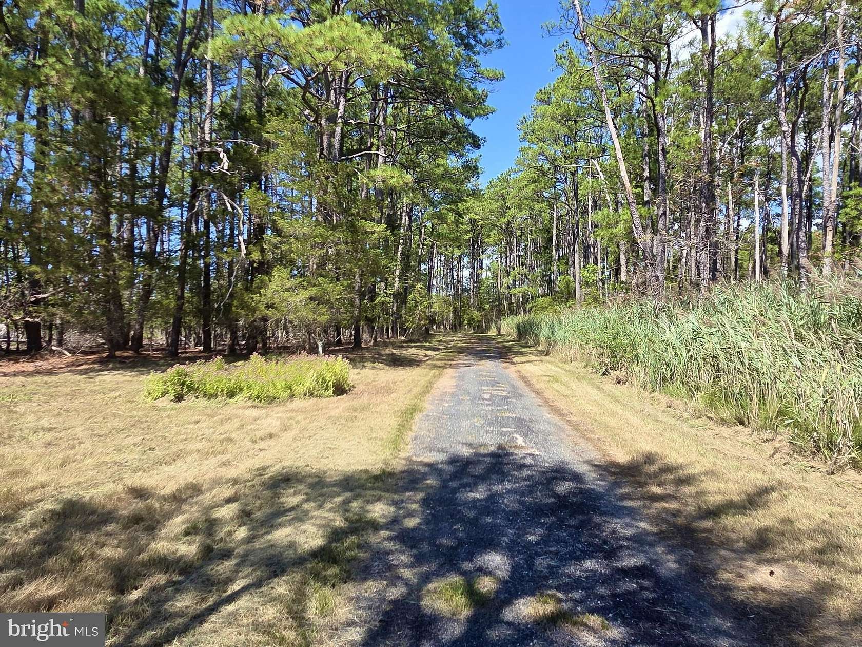 32 Acres of Land with Home for Sale in Crocheron, Maryland