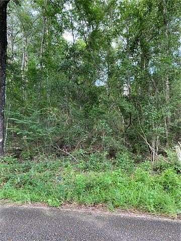 5 Acres of Residential Land for Sale in Bogalusa, Louisiana