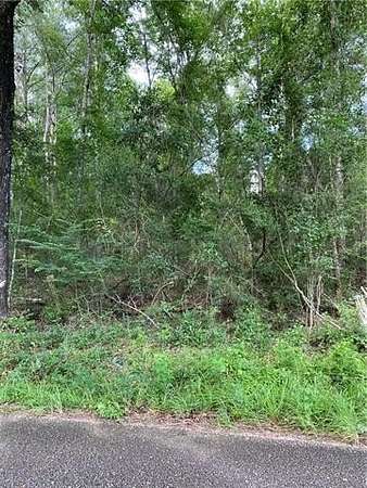 5 Acres of Residential Land for Sale in Bogalusa, Louisiana