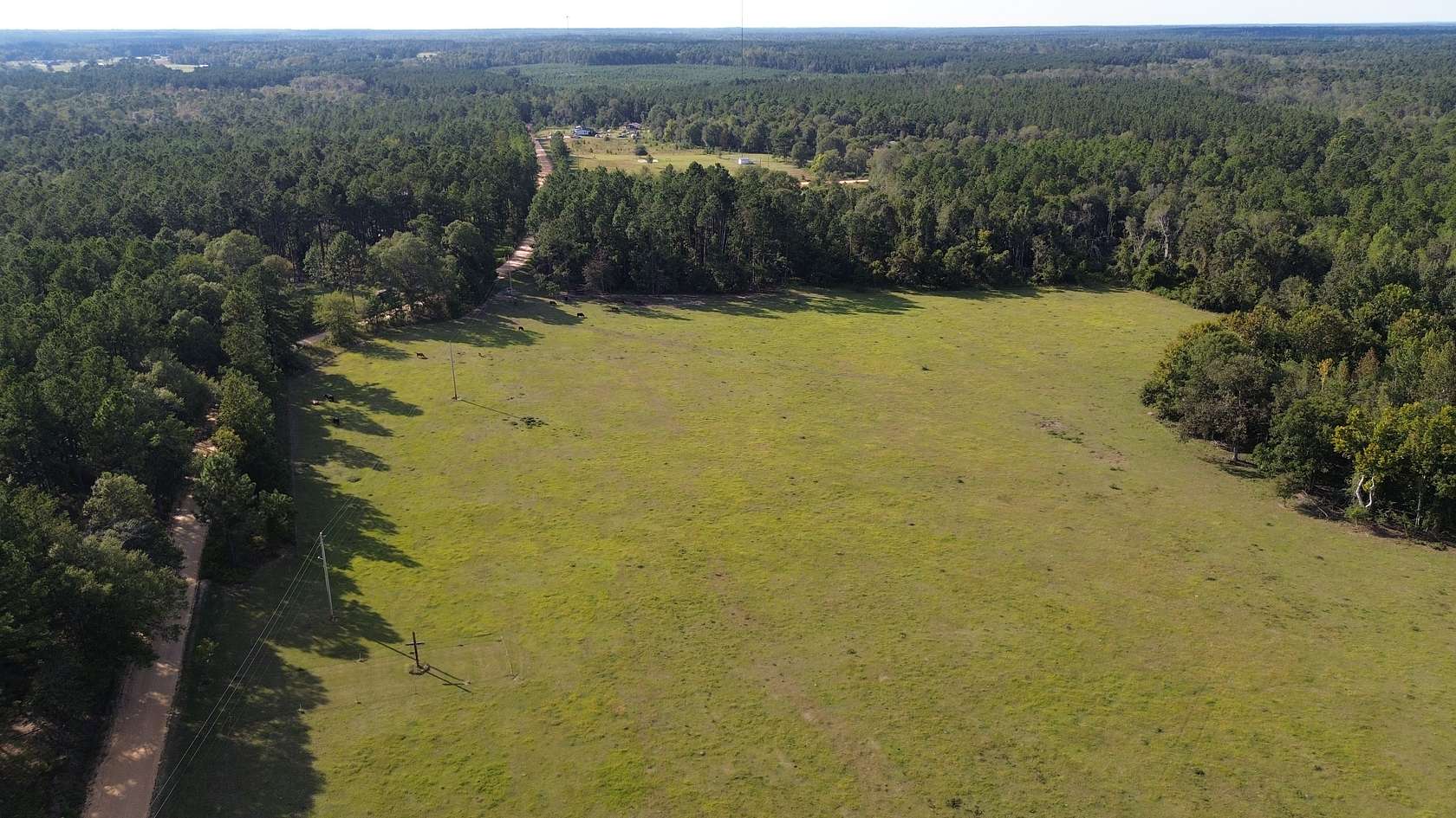 20 Acres of Land for Sale in Swainsboro, Georgia
