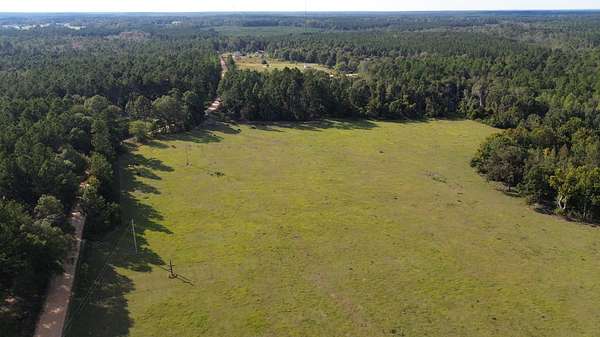 20 Acres of Land for Sale in Swainsboro, Georgia