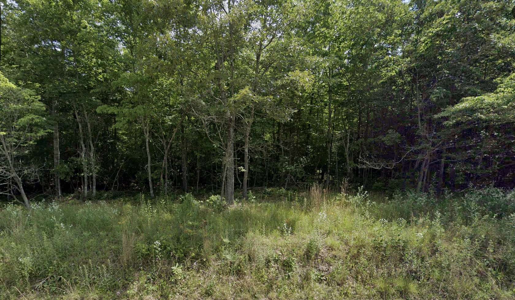 0.25 Acres of Residential Land for Sale in Crossville, Tennessee