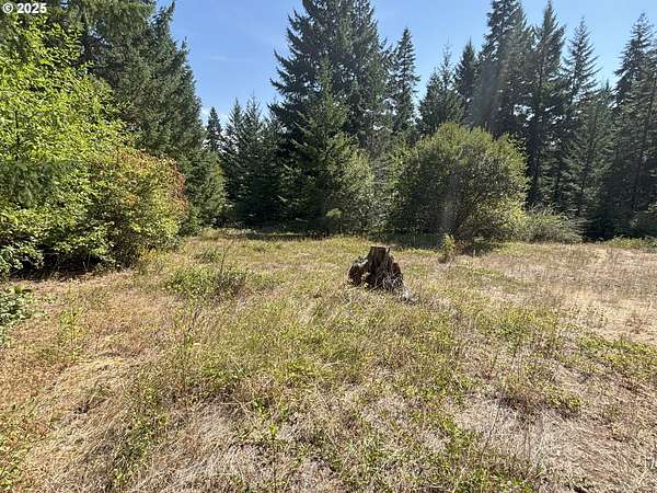 33.4 Acres of Recreational Land for Sale in Lyle, Washington