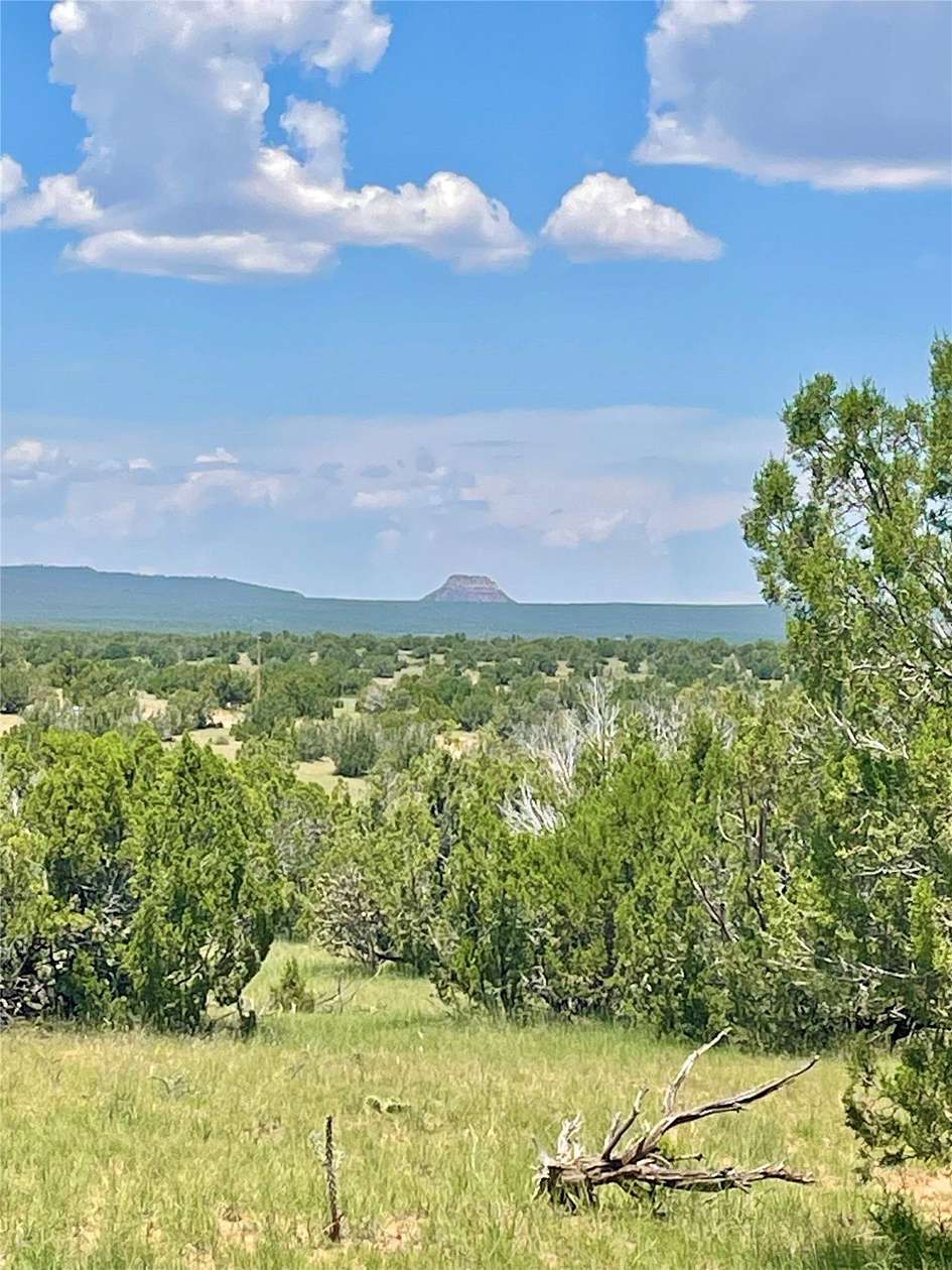 39.9 Acres of Land for Sale in Villanueva, New Mexico