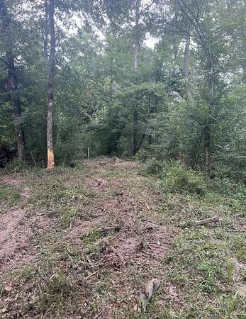 3.14 Acres of Residential Land for Sale in Newton, Texas